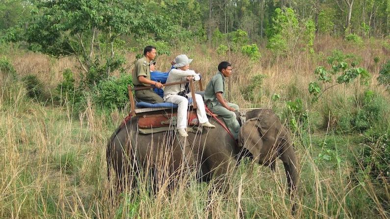 Chitwan Jungle Adventures