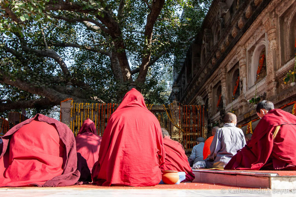 A Bodh Gaya Pilgrimage Learning About Buddhism In India My XXX Hot Girl