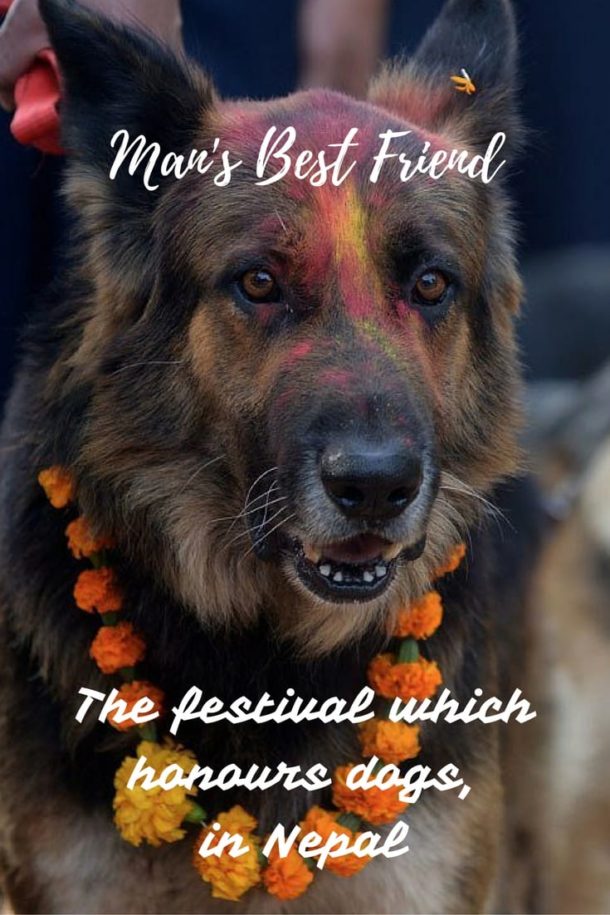Kukur Tihar (Kukur Puja) the Nepalese Festival that Celebrates Dogs