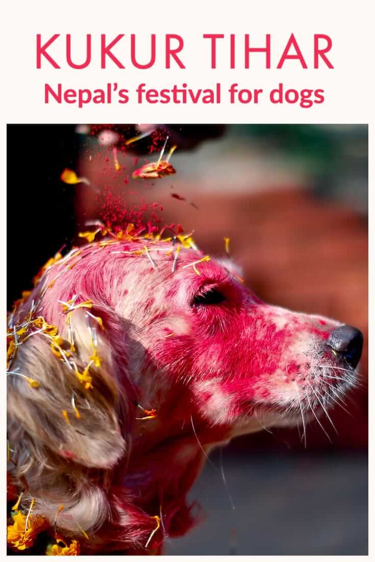 Kukur Tihar (Kukur Puja): the Nepalese Festival that Celebrates Dogs