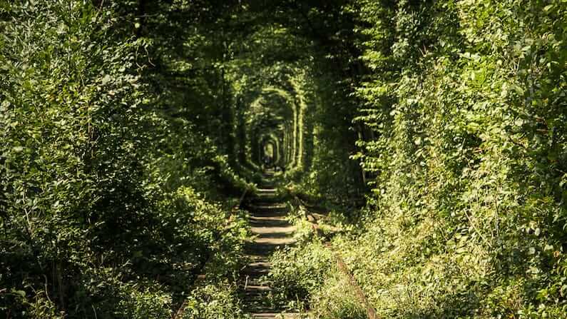 Visiting the Tunnel of Love, Ukraine