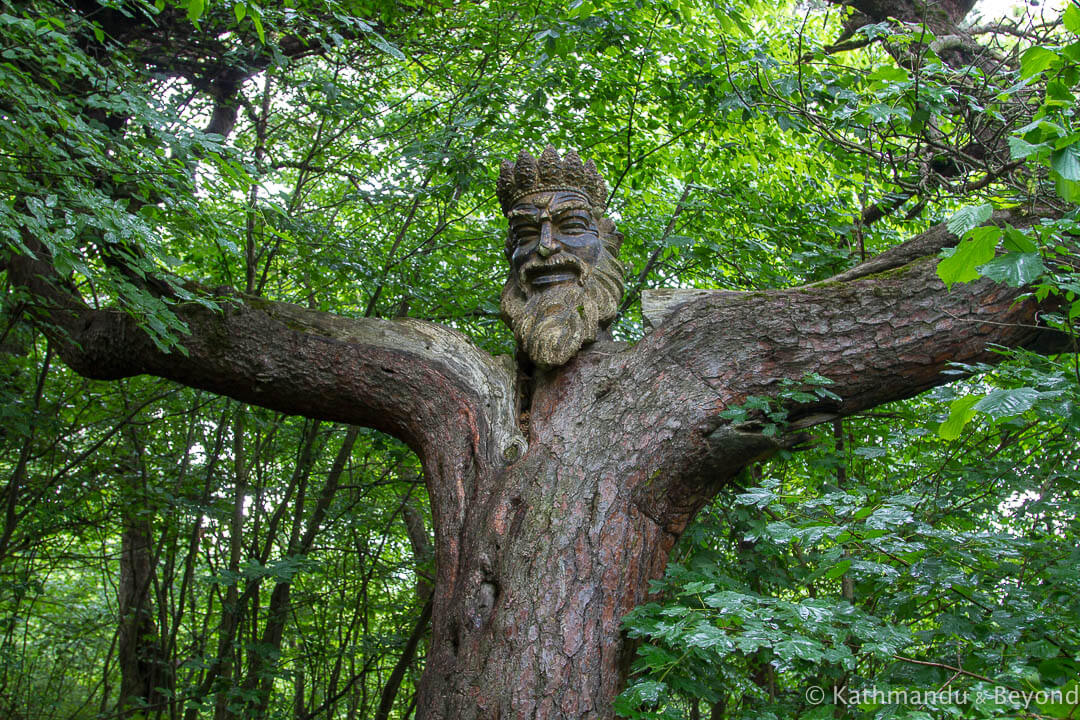 King of the Woods Dilijan Armenia-2